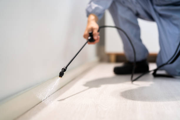 Certified termite inspector examining foundation in Keewatin