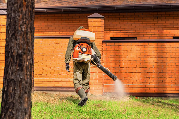 Bed Bug Clearance Verification and Documentation in Keewatin